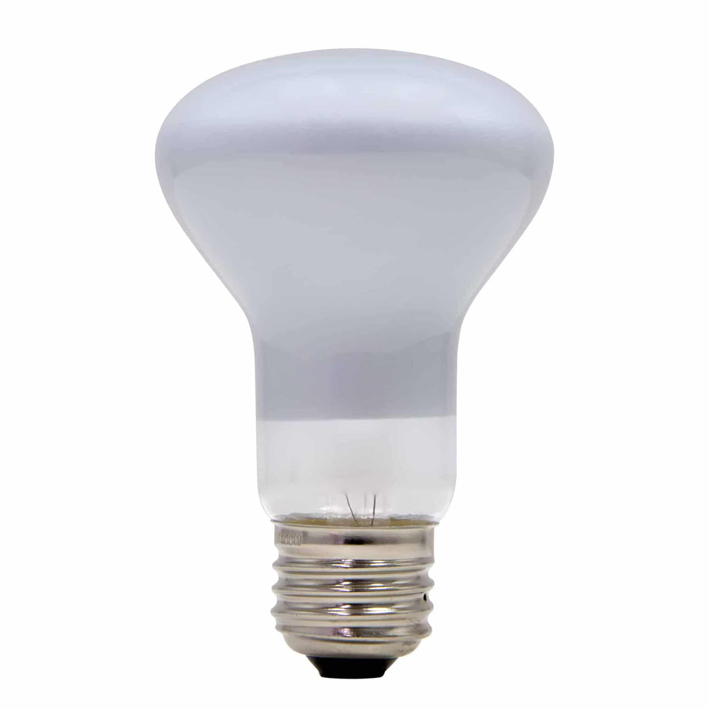 100W LAMP LIGHT BULB I0